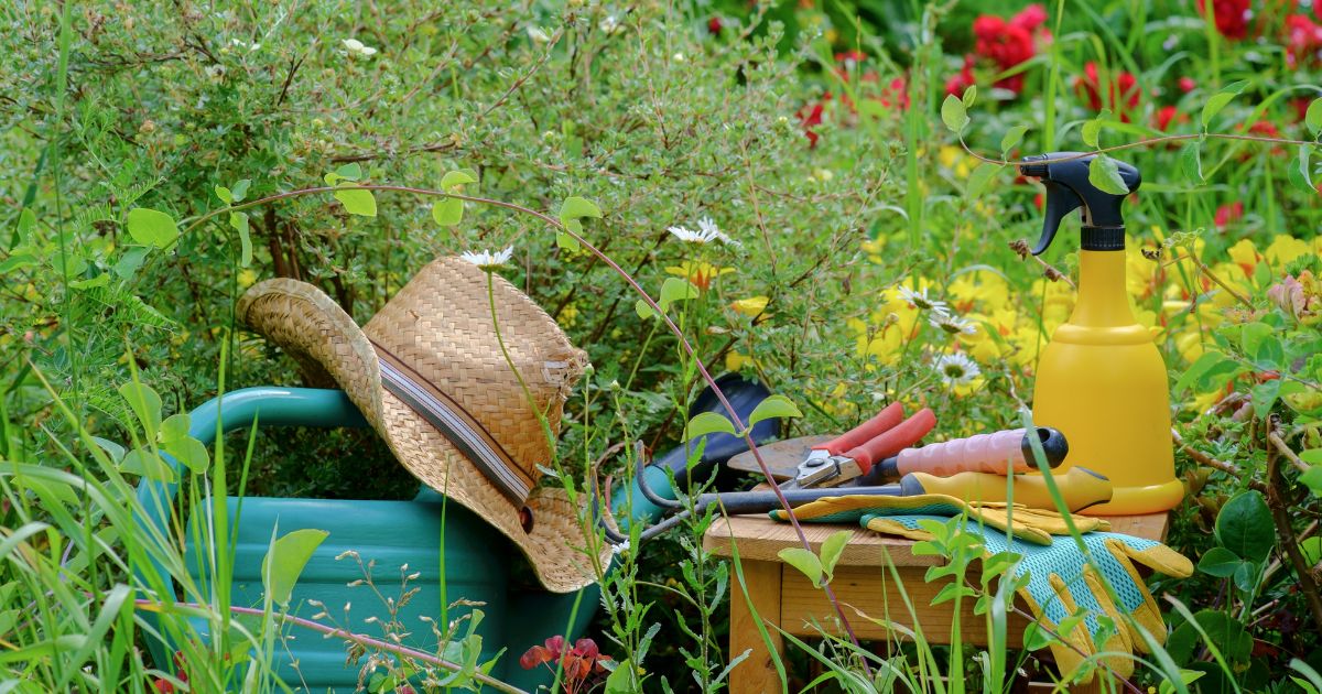 Formation Sur Les Meilleurs Outils De Jardinage Pour Un Entretien