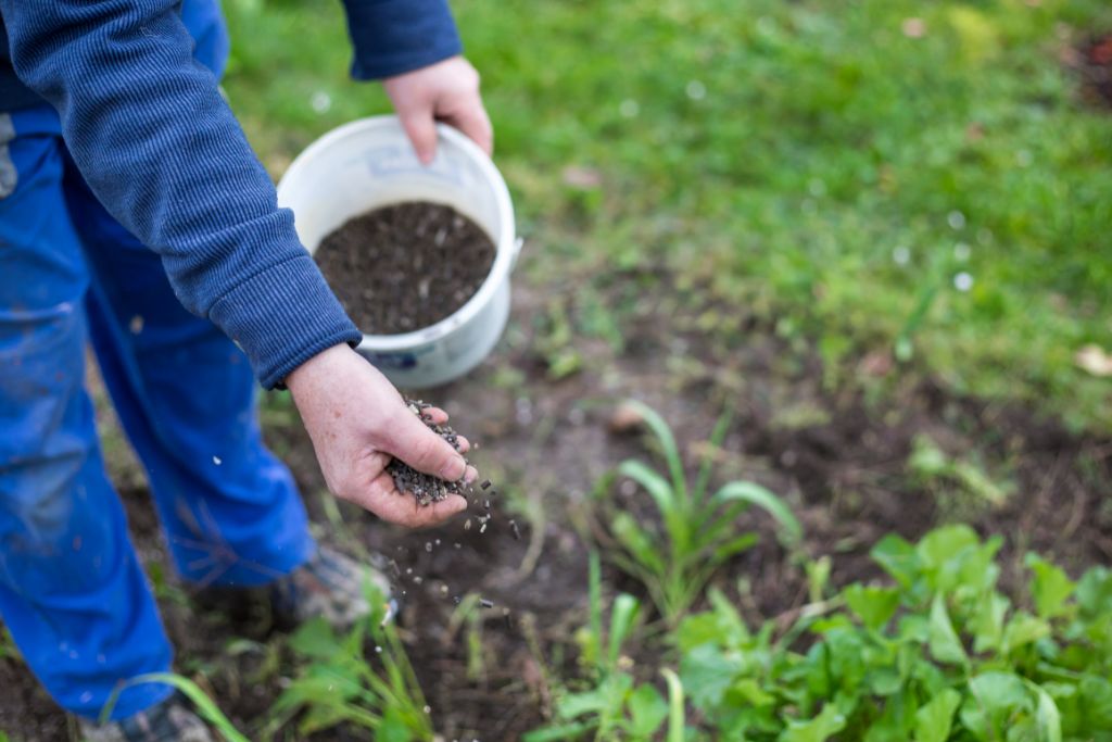 Libérez la puissance du guano dans votre jardin : les résultats vous éblouiront !