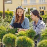 aménagement de jardins pour les climats arides