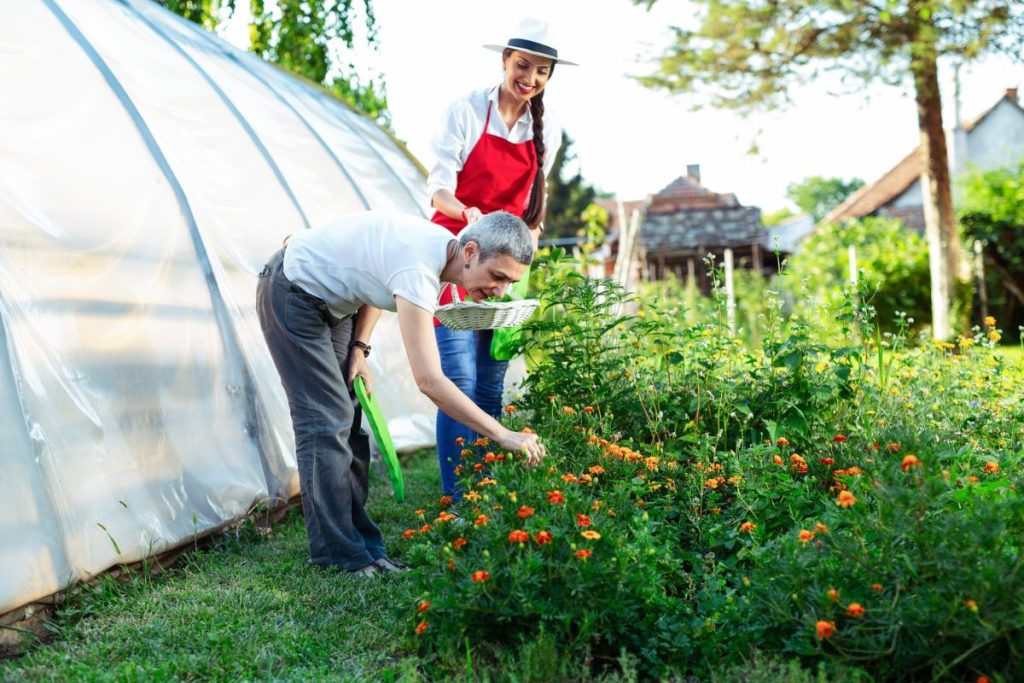 programme de formation en jardinage