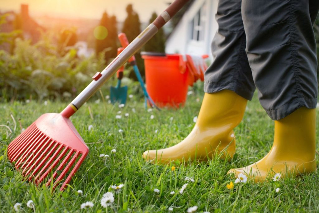 nettoyage écologique de votre jardin