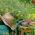 outils de jardinage