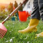 préparer votre jardin pour le printemps