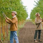 Formation en élagage de précision