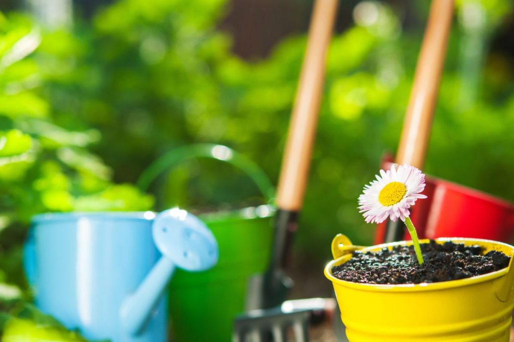 aménager un jardin zen