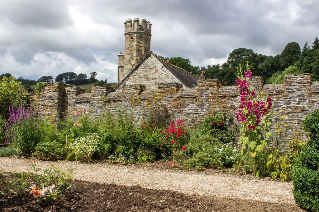 jardin sans gazon