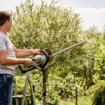 techniques de taille et d'élagage des arbres